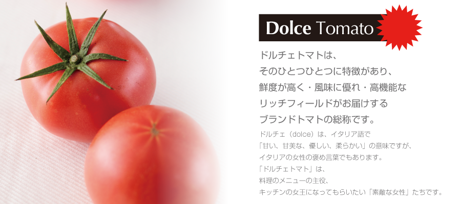 top01tomato-900-400.png
