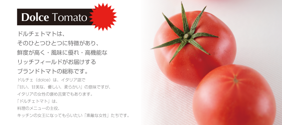 top02tomato-900-400.png